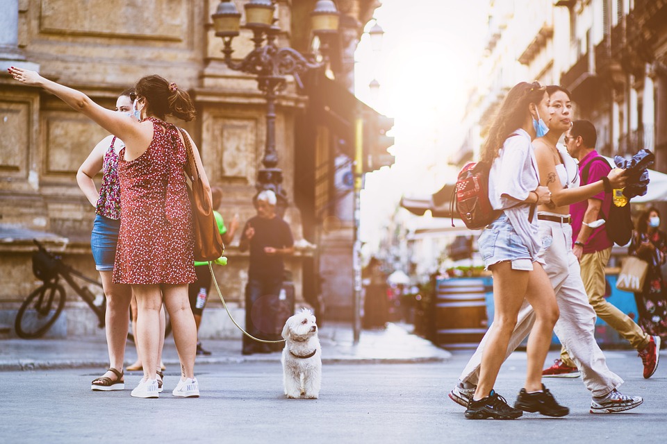 https://pixabay.com/photos/people-street-city-walking-urban-5594462/ People, Street, City, Walking, Urban, Crowd, Road, Busy