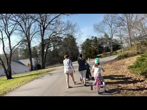 Giant Schnauzers (Siblings) Walk Nicely through Neighborhood with Bike and Stroller