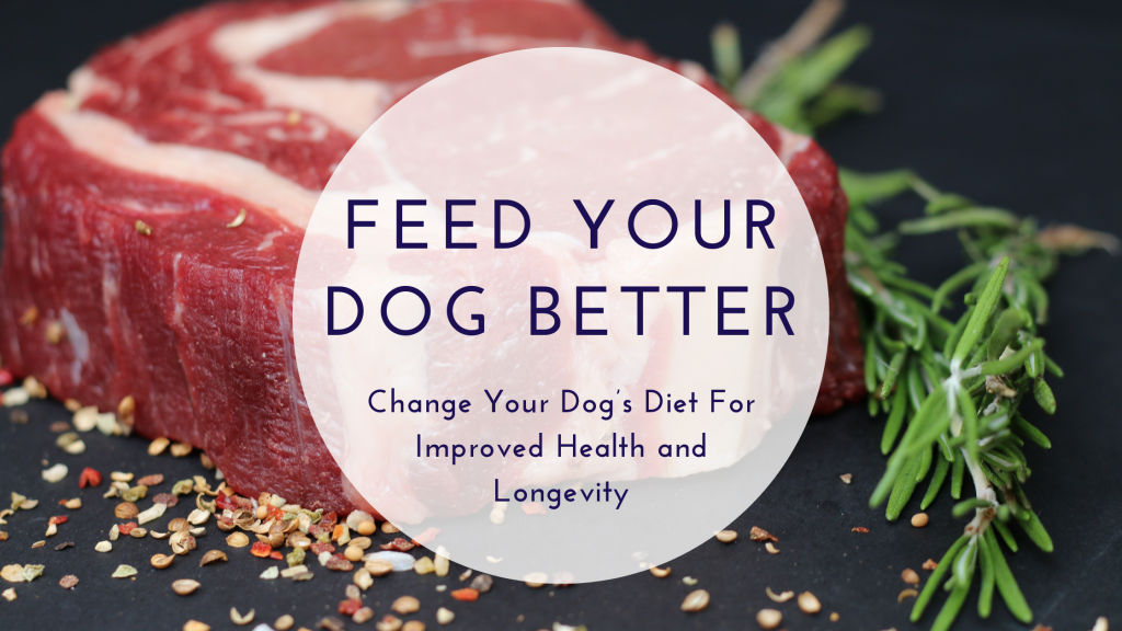 Feed Your Dog Better | Dog Training | Dog Psychology and Training Center