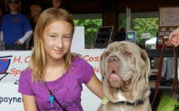 How to Solve the Biggest Problems with Dog Training