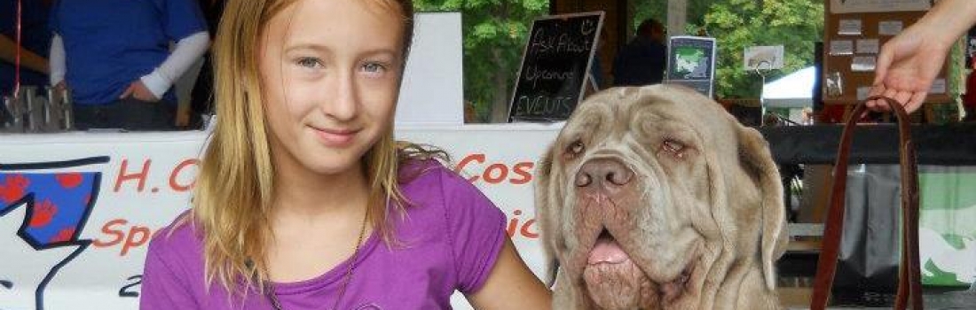 How to Solve the Biggest Problems with Dog Training