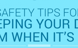 Safety Tips For Keeping Your Dog Warm When It’s Cold