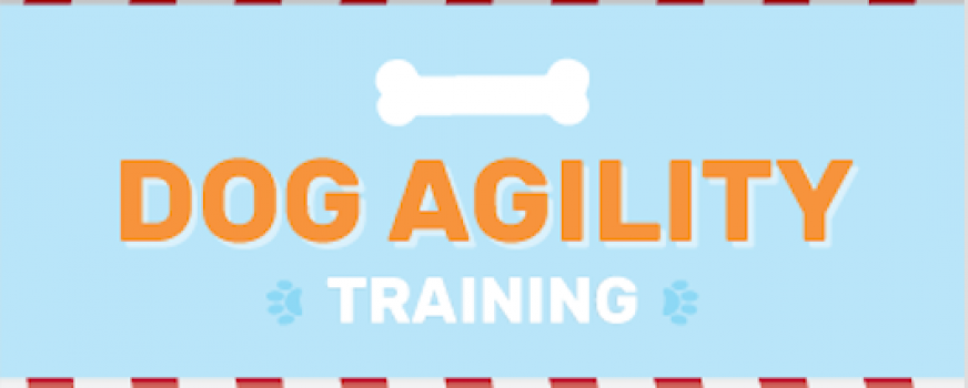 Agility Games to Boost Training