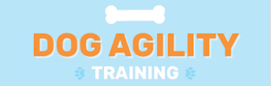 Agility Games to Boost Training