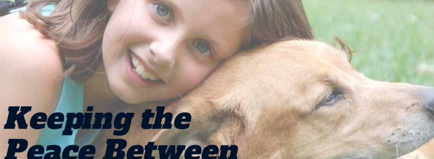 Keeping the Peace Between Dogs & Kids | Dog Training