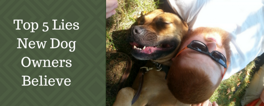 Top five myths new dog owners believe