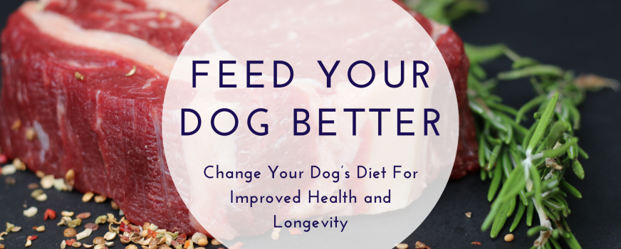 Feed Your Dog Better | Dog Training
