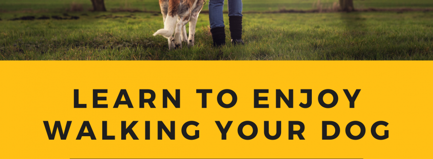 Learn To Enjoy Walking Your Dog | Dog Training 
